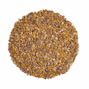 far out feeds organic layer