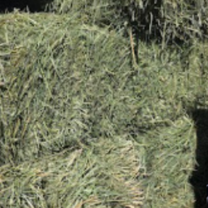alaska ranch small bale alfalfa mix grass