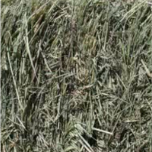 alaska ranch small bale bedding straw