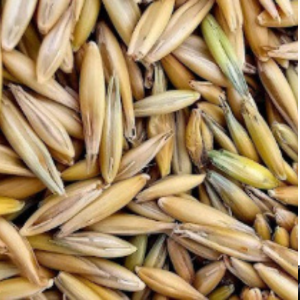 alaska ranch organic whole raw oats